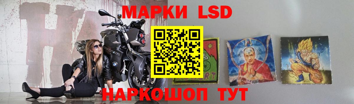 Галлюциногенные грибы Елизово