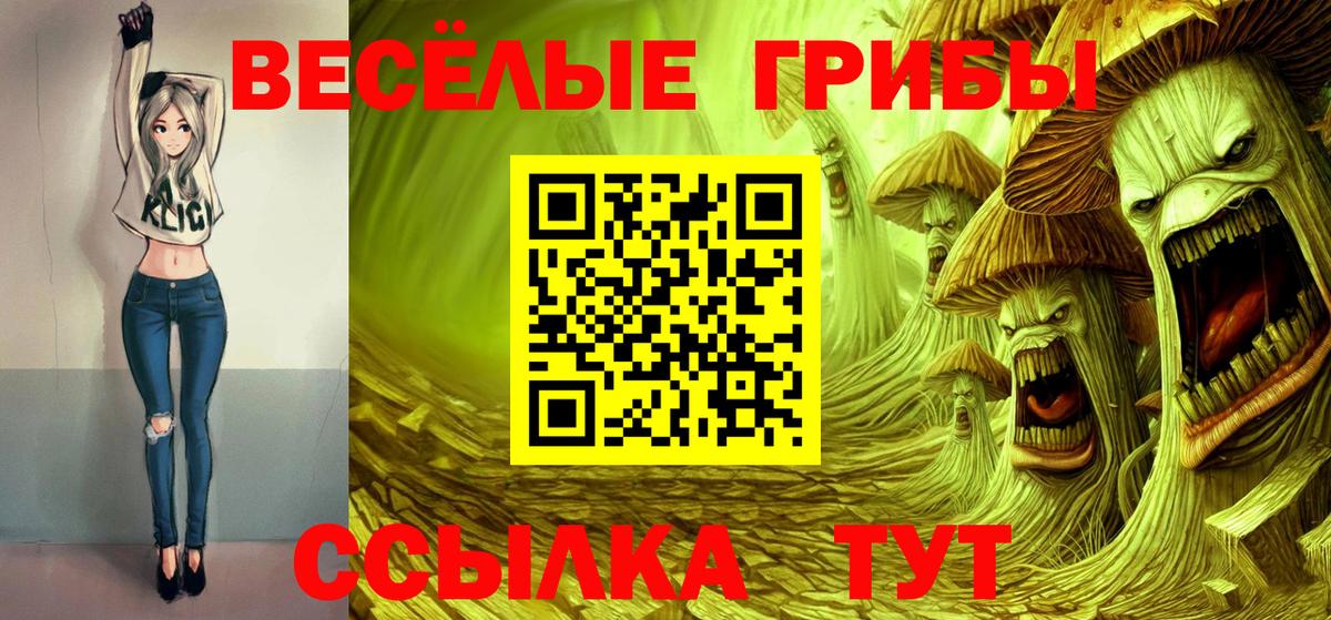 Псилоцибиновые грибы Cubensis  Галлюциногенные грибы MAGIC MUSHROOMS  Вход с VPN  Елизово 